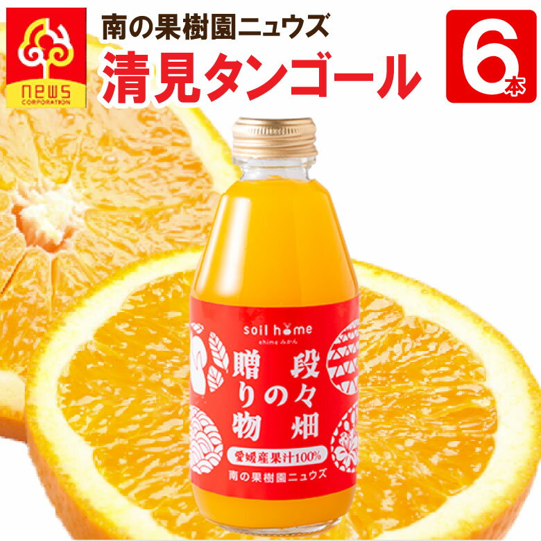 小瓶ジュース清見タンゴール(200ml×6本) 愛媛県産果汁100％無添加 soil home 皮ごと丸搾り 段々畑の贈..
