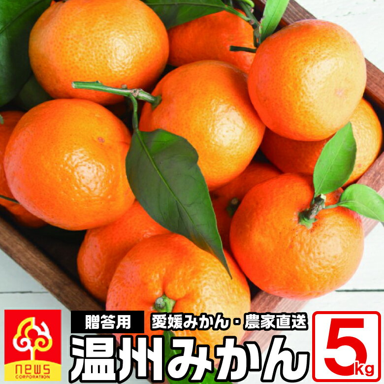 愛媛 みかん：だんだんの温州みかん《5kg/M or L /35～55玉/バラ詰》手軽さ、むきやすさ、食べやすさ、そして美味しさがそろった定番みかん本氣のみかんで幸せを届ける！みかん作り90年の南の果樹園ニュウズ(4)