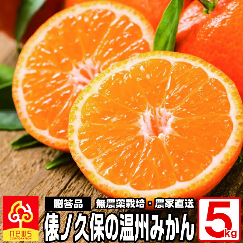 愛媛 みかん 俵ノ久保の温州みかん《5kg/M or L/35～55玉/バラ詰》みかん ミカン 蜜柑 愛媛みかん 愛媛ミカン えひめみかん 国産 果物 最高級プレミアム 高級みかん 特選 糖度 愛媛県 果肉 希少 贈答用 ギフト 歳暮 新鮮 完熟 mikan 産地直送(4)