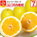 【送料無料】河内晩柑 訳あり 7kg 愛