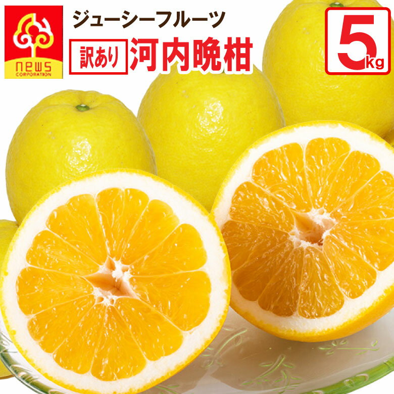 【送料無料】河内晩柑 訳あり 5kg 愛媛 夏文旦 ジューシ