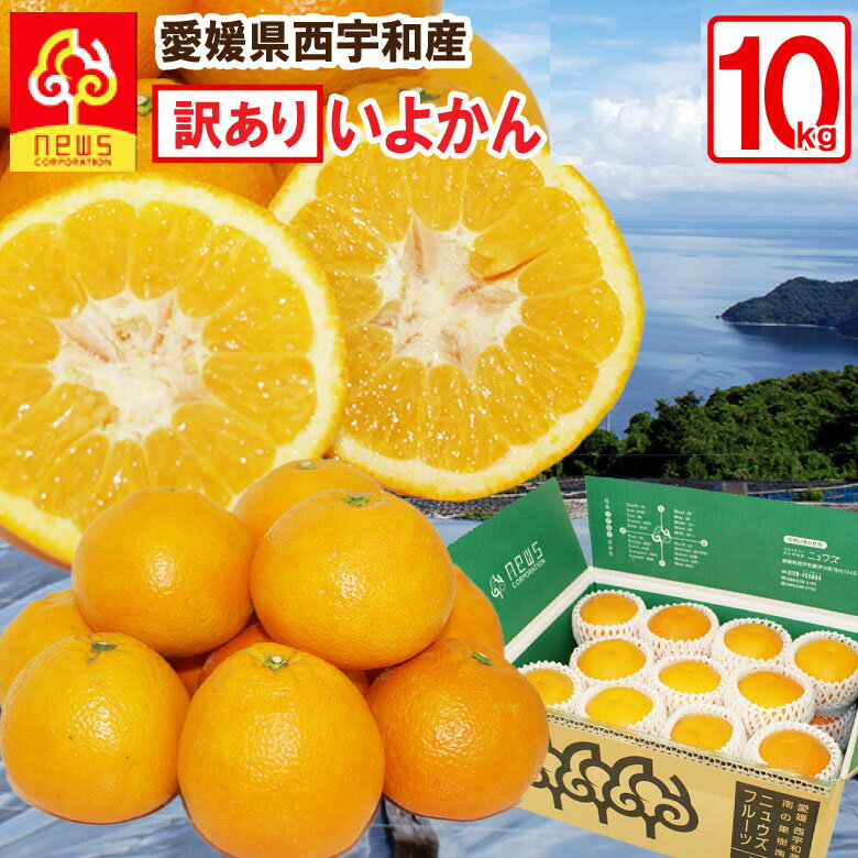 【送料無料】いよかん 訳あり 3kg 愛媛 蜜柑 ミカン みかん グルメ お取り寄せ 産地応援 愛媛県 産地直送 柑橘類 フルーツ ギフト 産直 愛媛産 愛媛県産 果実 食品 お取り寄せグルメ 愛媛みかん 国産 西宇和 不揃い 傷 汚れ有 家庭用キズ ニュウズ