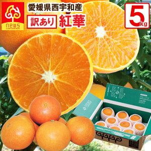 【訳あり】愛媛 みかん 紅華 べにか 混合サイズ 5kg （「紅まどんな」商標登録のため紅華として販売）はバラ詰 高級 希少 贈答用 えひめみかん 農家直送 みかん専門店 南の果樹園 ニュウズ 西宇和 べにまどんな 紅マドンナ