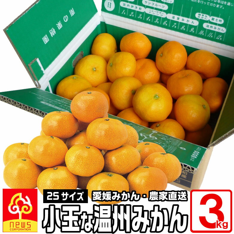 愛媛 みかん：2S みかん《3kg/2S/45～55玉/バラ詰》2Sはお弁当にも、お子様にもちょうどいい一口サイズ..