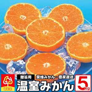 愛媛産:温室みかん《5kg/SML/35~65玉/バラ詰》皮が薄く、甘さたっぷりの果肉が特徴のこの季節限定のハウスミカンです。本氣のみかんで幸せを届ける!みかん作り90年の南の果樹園ニュウズ
