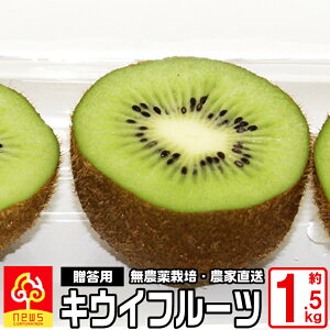 愛媛産 キウイフルーツ 約1.5kg S又はM 15〜20玉 オーガニック 無農薬栽培 ヘイワード自家生産 みかん専門店 南の果樹園 ニュウズ 西宇和