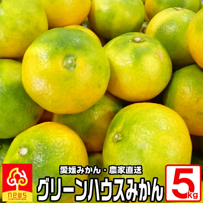 送料無料 グリーンハウスみかん 5kg 国産 愛媛産 無添加 南の果樹園 ニュウズ