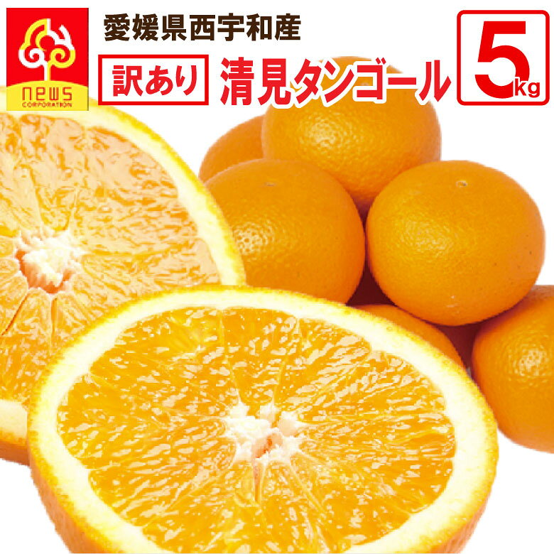 清見オレンジ 訳あり 5kg 愛媛 清見タンゴール 清見みかん 清見 きよみ 蜜柑 ミカン みかん グルメ お取り寄せ 産地応援 愛媛県 産地直送 柑橘類 フルーツ ギフト 産直 愛媛産 愛媛県産 果実 食品 お取り寄せグルメ かんきつ 果肉 果汁 愛媛みかん 国産 西宇和のサムネイル