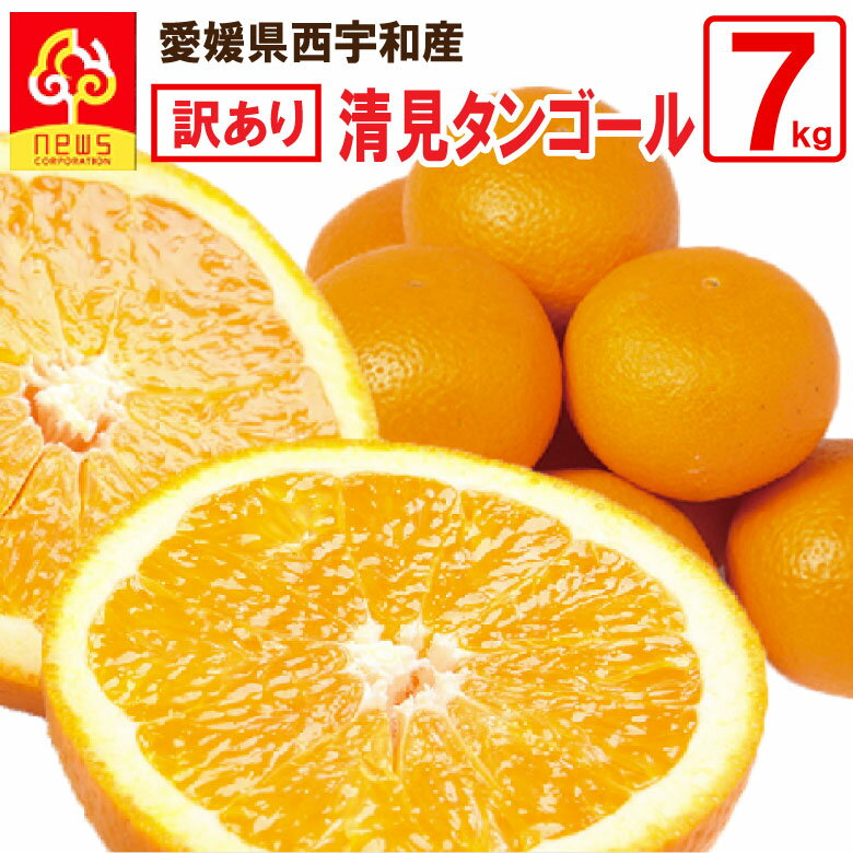 【送料無料】清見オレンジ 訳あり 7kg 愛媛 清見タンゴール 清見みかん 清見 きよみ 蜜柑 ミカン みかん グルメ お取り寄せ 産地応援 愛媛県 産地直送 柑橘類 フルーツ ギフト 産直 愛媛産 愛媛県産 果実 食品 お取り寄せグルメ かんきつ 果肉 果汁 愛媛みかん 国産 西宇和のサムネイル