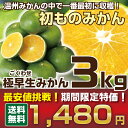 【みかん3kg】1,480円!2セット購入で+1kg増量★温州みかん みかん 訳あり ミカン 送料無料 楽天最安値に挑戦! 贈答用 贈り物 わけありみかん 糖度 甘いみかん くだもの 箱 わけありみかん ワケあり 甘い フルーツ 愛媛 愛媛みかん