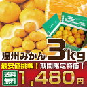 送料無料 みかん 1, 480円! 2セット購入で+1kg増...