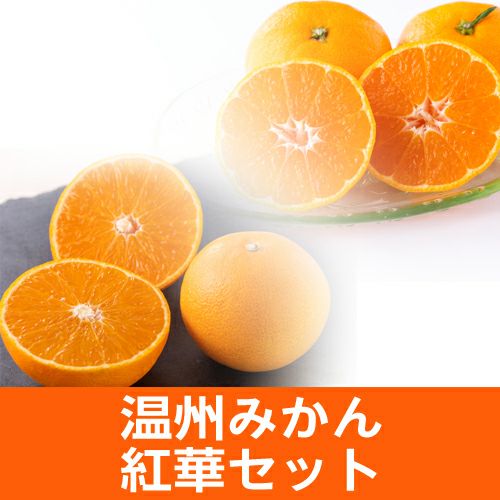 温州みかん 紅華セット温州みかん1.5kgと紅華5～6玉セット 贈答用 農家直送 露地栽培 みかん専門店 南の果樹園 ニュウズ 西宇和