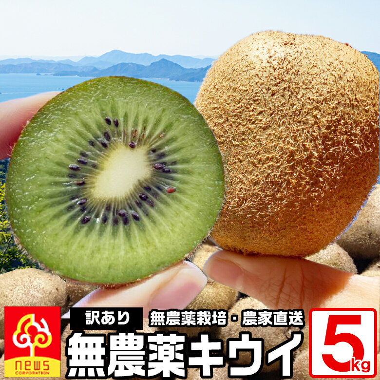 【訳あり】愛媛産 キウイ フルーツ 5kg 混合サイズ オーガニック 無農薬栽培 ヘイワード自家生産 みかん専門店 南の果樹園 ニュウズ 西宇和 キュウイ キウイフルーツ 果実 くだもの ジャム