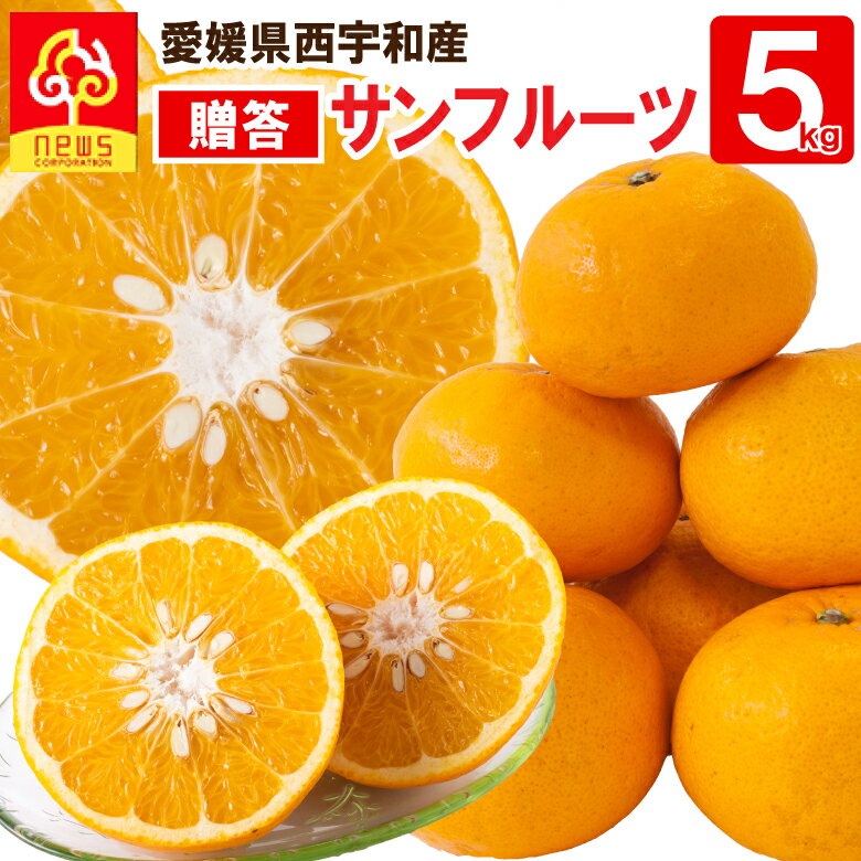 みかん サンフルーツ 贈答用 5kg 愛媛 新甘夏 甘夏 あまなつ 蜜柑 ミカン みかん グルメ お取り寄せ 愛媛県 産地直送 柑橘類 フルーツ ギフト 愛媛産 愛媛県産 果実 お取り寄せグルメ かんきつ 愛媛みかん えひめみかん 西宇和 南の果樹園 ニュウズ