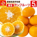 サンフルーツ 贈答用 5kg 愛媛 新甘夏 甘夏 あまなつ 蜜柑 ミカン みかん グルメ お取り寄せ 愛媛県 産地直送 柑橘類 フルーツ ギフト 愛媛産 愛媛県産 果実 お取り寄せグルメ かんきつ 愛媛みかん えひめみかん 西宇和 南の果樹園 ニュウズ