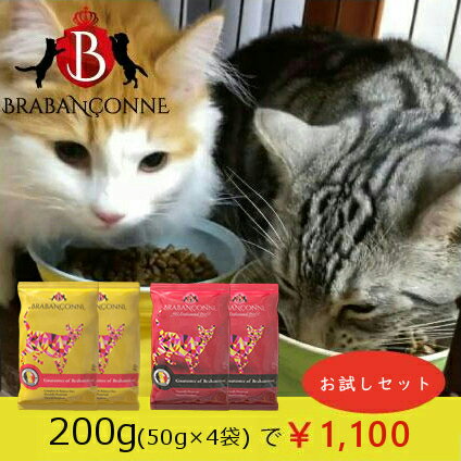 【送料無料￥1,100】ブラバンソンヌ 猫用 キャットフード お試し 200g セット 小粒 ドライ ローグレイン 消化器ケア 尿路ケア 腎臓ケア 心臓ケア 無添加 グルテンフリー タウリン配合 ヒューマングレード 子猫 成猫 高齢猫 シニア 全年齢 総合栄養食 小分け 小袋 BRABANCONNE