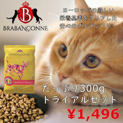 ブラバンソンヌ 猫用 キャットフード たっぷり お試し