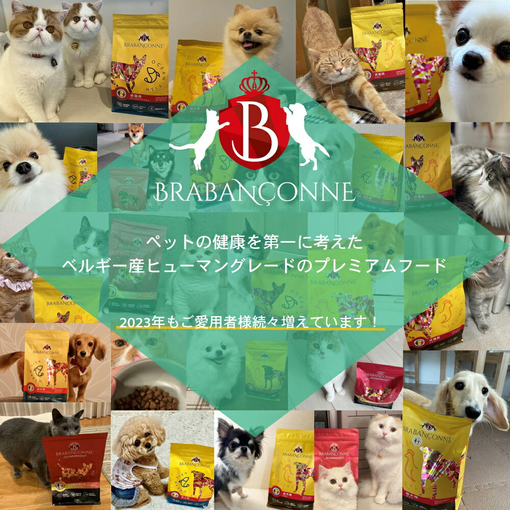 ブラバンソンヌ 中型犬・大型犬の成犬用 ドッグフード オーシャンフィッシュ 10kg 総合栄養食 ドライ グレインフリー ベルギー産 BRABANCONNE