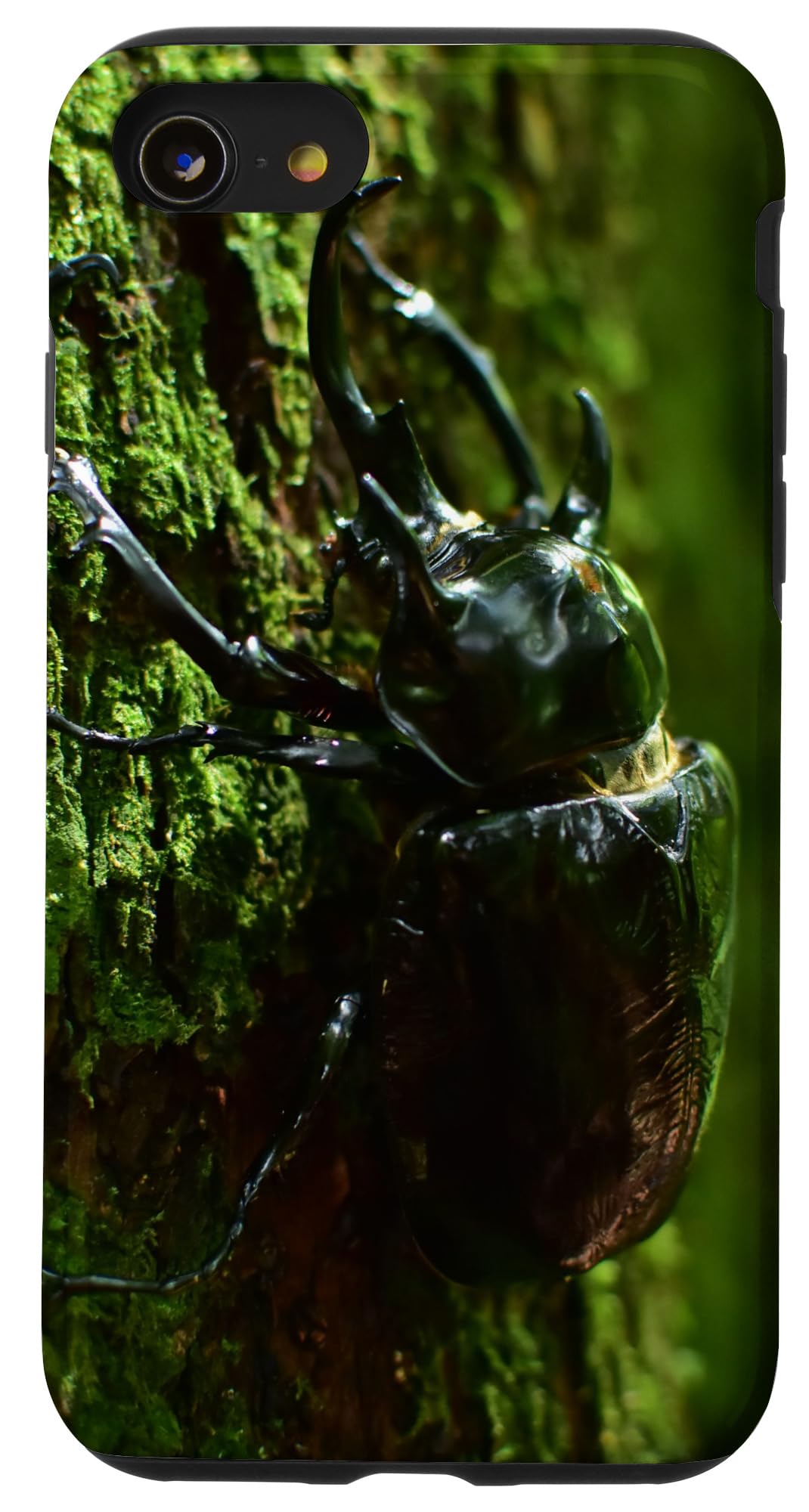 iPhone SE (2020) / 7 / 8 ֥ȥॷ ޥۥ