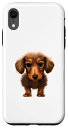 iPhone XR ダックスフンド 犬 子犬 蓋 スマホケース