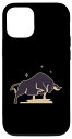 iPhone 12/12 Pro 牡牛座 十二宮 4月 5月 誕生日 卒業式 スマホケース