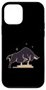 iPhone 12 mini 牡牛座 十二宮 4月 5月 誕生日 卒業式 スマホケース