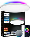 ORALUCE LEDシーリングライト ~6畳 Alexa認定 RGB間接光 無段階調光・調色 24W 2800lm 2.4GHz リモコン付 照明器具 天井 直付け 常夜灯 メモリー機能 PSE認証電気 Bluetooth&Wi-Fi対応 取扱説明書付 LC-DBFC02