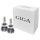 【WEBルート限定品】 カーメイト GIGA LED ヘッドバルブ (純正HIDを無加工でLEDへ変換) D9シリーズ 6000K 9000lm 日本国内設計 ...