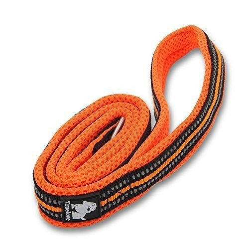 Rantow 110cm長さ2.5cmワイドな通気性の犬のリーシュ、3Mナイトセーフティ・リフレクティブ・ストライプ、柔らかくて丈夫で快適な犬のロープ、強いメタル・フック付き (橙)