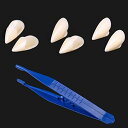 バンパイアの牙 吸血鬼 小悪魔 つけキバ 付け歯 コスプレ吸血鬼 バンパイア 仮装 キバ コスプレ 衣装 (13mm、15mm、17mm) ピンセット付き 7点セット