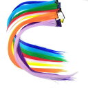 ウィッグ エクステ グリーンなどの10点(ヘアクリップ ヘアブラシ付き) ワンタッチ クリップ ポイントウィッグ 付け毛 耐熱カラフル ヘアー メッシュ ロング ストレート 日常 ハロウィン パーティー