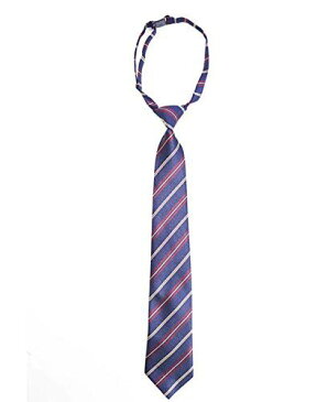 制服 リボン ネクタイ 学生服 小物 DK JK スクールリボン 2点セット 中学生 高校生 男子 女子 卒業式 入学式 発表会 ストライプ アクセサリー 学園祭 コスプレ 衣装