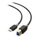Cable Matters USB C B変換ケーブル USB C USB B ケーブル USB 3.1 Gen 1 Type C USB 3.0 Type B 変換ケーブル 1m ブラック(2)
