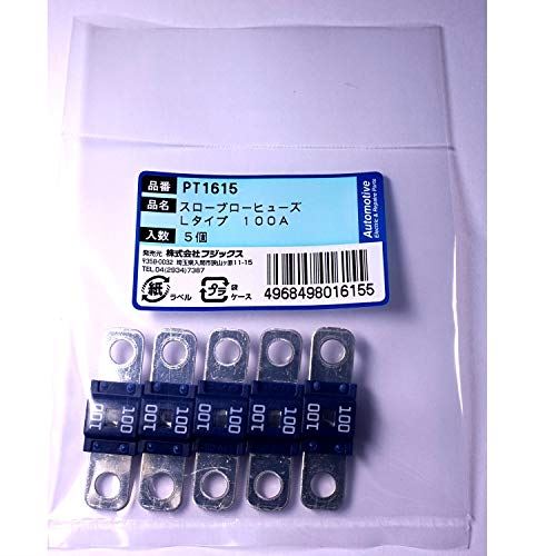 PT1615 3107(SBFW-L)スローブローヒューズ Lタイプ 100A 5個 PT1615