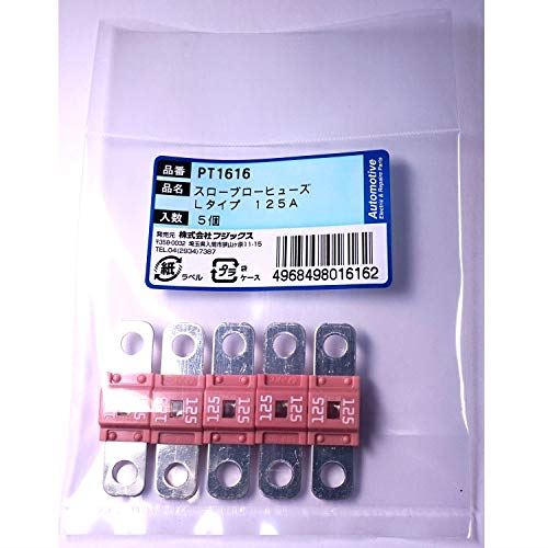 PT1616 3117(SBFW-L)スローブローヒューズ Lタイプ 125A 5個 PT1616