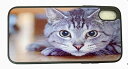 株式会社GLOW I phone SE第二世代オリジナルケース 猫C 強化ガラス&タッチペン付き 366-1-07