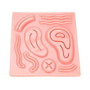 medclimber 腹腔鏡 縫合練習 縫合トレーニング 3D 縫合練習キット シリコーン縫合パッド 学習教材 医大生 看護学生 講師に適用