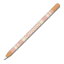 アップルペンシル2世代専用スキンシールス Apple Pencil iPad Pro Apple Pen テッカー 保護フィルム カバー ケース クレヨン柄（2枚組）C10、ブラウンB