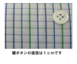 チェック　ブルー×グリーン