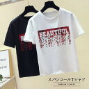 スパンコール Tシャツ 半袖 無地 伸縮性 レディース コットン ブラック ホワイト インナー トップス タウンユース ダンス スポーティMIX メール便 送料無料 whiteroom476(4)