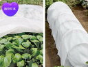 【クーポン利用で10%OFF 】送料無料 植物防寒カバー 植物保護カバー 凍結防止 防霜 防雪 防風 冬用防寒対策 室内室外 再利用可能 園芸用品 耐久性 耐久...