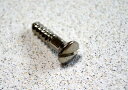 Montreux《モントルー》Inch TL pickguard screws (10) 「931」