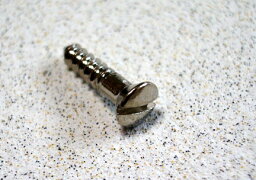 Montreux《モントルー》Inch TL pickguard screws (10)　「931」