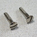 Montreux モントルー 928 Inch TL control plate screws (2) テレキャス用コントロールプレートネジ／2本入り