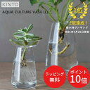 ＼30日～1日はP10倍／【あす楽】AQUA CULTURE VASE L アクアカルチャーベース L【キントー KINTO】水耕栽培 水栽培 多肉植物 ヒヤシンス 花器 フラワーベース 北欧 オシャレ ガラス 花瓶 敬老 おうちじかん 母の日 冬 クリスマス【ラッピング無料】(z)