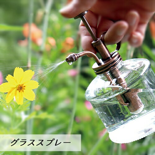【あす楽】グラススプレー【Doラボ】スプレー 霧吹き キリフキ アンティーク風 ガーデニング 掃除 洗濯 ランドリー おしゃれ 植物 アウトドア(t)(z)のサムネイル