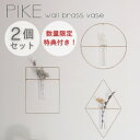 ＼2個セットで特典付き！／【送料無料・あす楽】PIKE wall brass vase【ウエストビレッジトーキョー】フラワーベース ドライフラワー インテリア 花瓶 真鍮 一輪挿し オシャレ ギフト プレゼント 母の日 壁掛け 簡単 賃貸 一人暮らし ガラス 花 画鋲 簡易 簡単 取り外し(z)