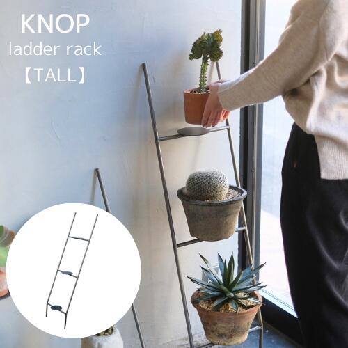 KNOP LADDER RACK TALL362809 ドライフラワー ガーデン インテリア 花瓶 真鍮 オシャレ ギフト プレゼント 賃貸 植木 ポット ディスプレイ 棚 植物 庭 屋外 新生活 おうちじかん 新築祝い 御祝 ギフト 壁掛け 花