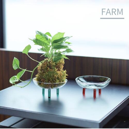 ＼エントリーでP10倍!!／モスボールトレイ5【バージ FARM】植木鉢 鉢 サボテン 観葉植物 ナチュラル 栽培 日本製 グリーン スタンド付き 植物 底穴なし植木鉢 モダン 飾り 置き物 ガーデン 苔玉 鉢置き お花 家庭菜園 ガラス 透明(z)