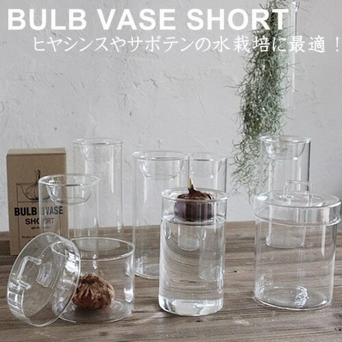 BULB VASE SHORT (バルブベースショート)【スパイス SPICE】kegy4060 グリーン ガーデン フラワーベース 球根水栽培 ガラス サボテン 水耕栽培 水栽培 多肉植物のサムネイル